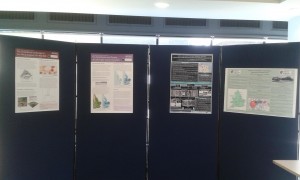 The presentations included posters. 