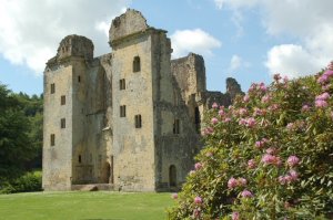 medieval-archaeology-wardour-castle